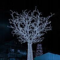 Гирлянда уличная (наружная) Springos 18 м 300 LED CL0325 Cold White
