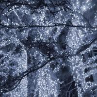 Гирлянда уличная (наружная) Springos 18 м 300 LED CL0325 Cold White