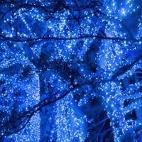 Гирлянда уличная (наружная) Springos 18 м 300 LED CL0327 Blue