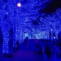 Гирлянда уличная (наружная) Springos 18 м 300 LED CL0327 Blue