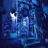 Гирлянда уличная (наружная) Springos 18 м 300 LED CL0327 Blue