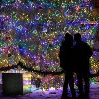 Гирлянда уличная (наружная) Springos 60 м 1000 LED CL1005 Mix