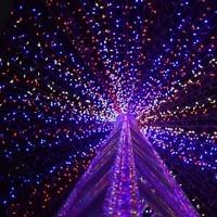 Гирлянда уличная (наружная) Springos 60 м 1000 LED CL1005 Mix