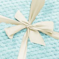 Плед-покрывало Springos Extra Soft 200 x 220 см HA7104