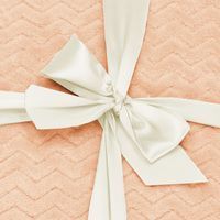Плед-покрывало Springos Extra Soft 160 x 200 см HA7148