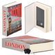 Книга-сейф (кешбокс) Springos 22 x 15.5 x 4.5 см для хранения денег и ценностей HA5049